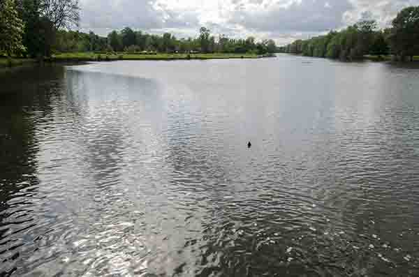 Francia - Chantilly 36 - castillo de Chantilly - jardines - estanque.jpg